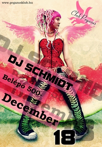 2010.12.18.Dj.Schmidt